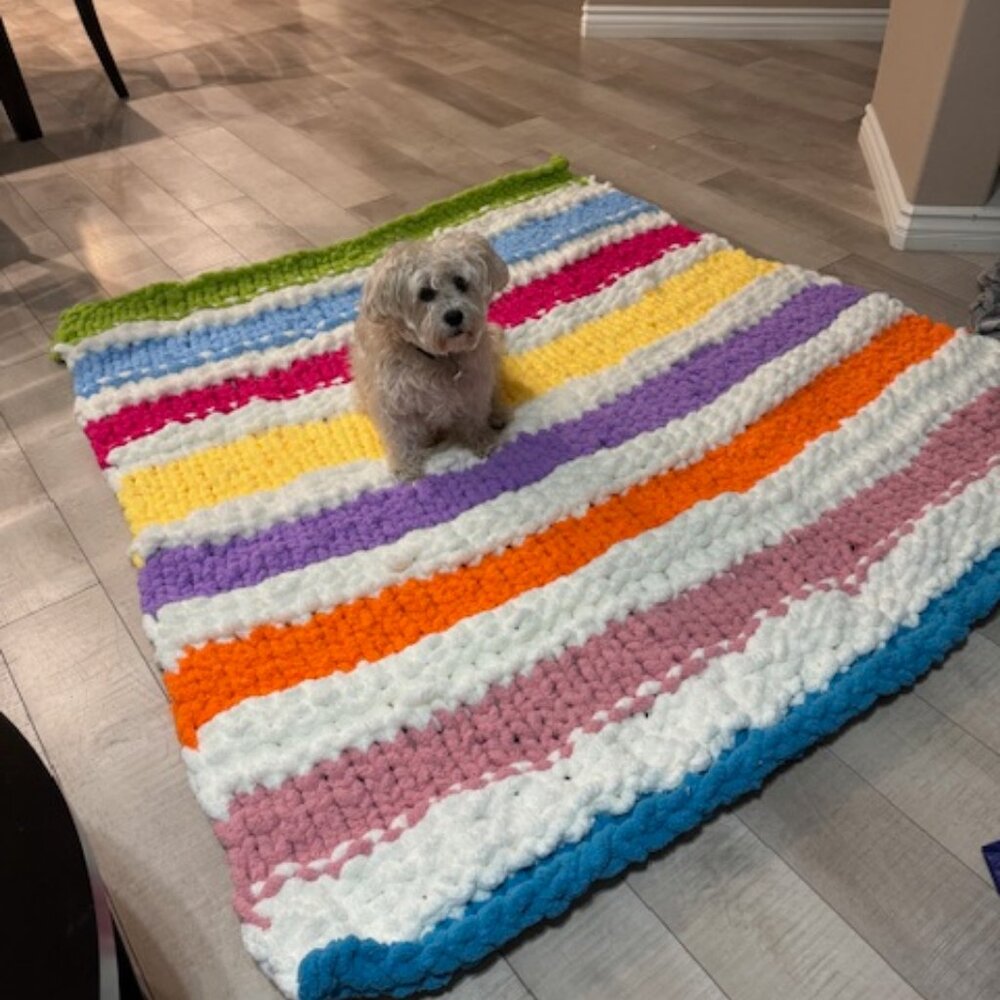 Hand Knit Multi Colored Chunky Blanket